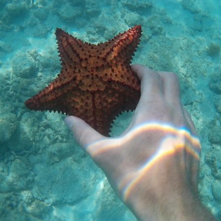 Hotel Pedernales Italia Republica Dominicana エクステリア 写真