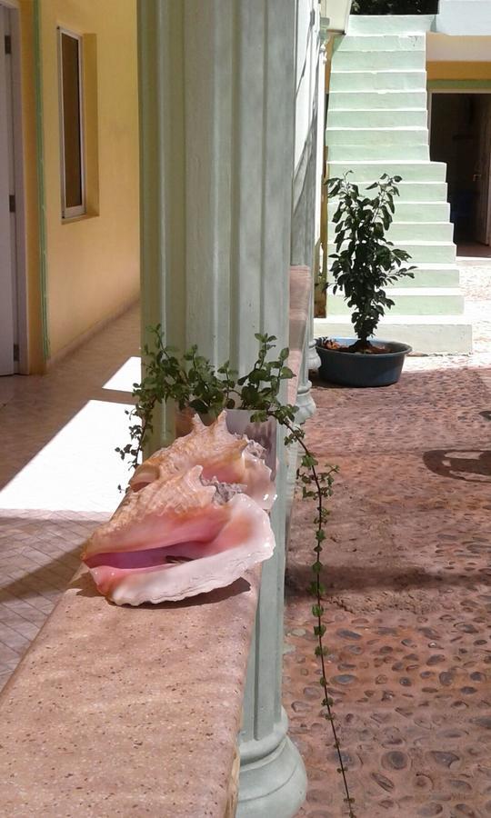 Hotel Pedernales Italia Republica Dominicana エクステリア 写真