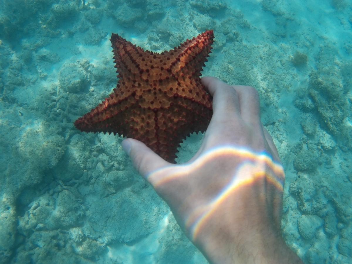 Hotel Pedernales Italia Republica Dominicana エクステリア 写真